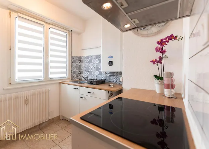 Le Refuge - 科尔马